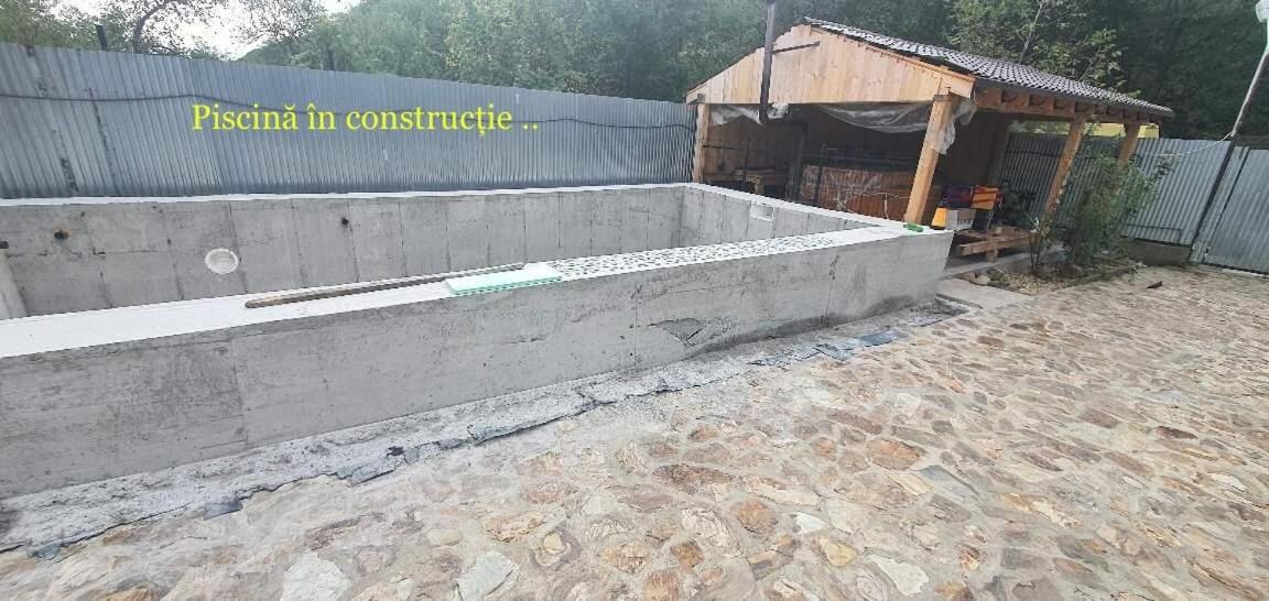 Pensiunea Raiul Muntilor Sebis Ngoại thất bức ảnh